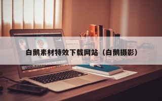 河池白鹅素材特效下载网站（白鹅摄影）